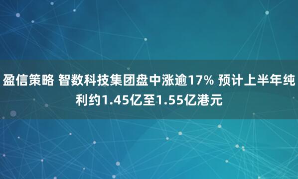 盈信策略 智数科技集团盘中涨逾17% 预计上半年纯利约1.45亿至1.55亿港元
