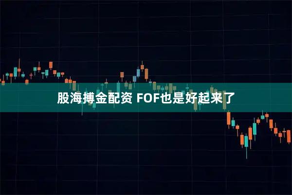 股海搏金配资 FOF也是好起来了
