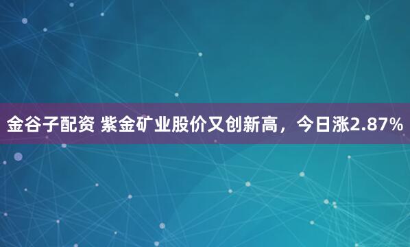 金谷子配资 紫金矿业股价又创新高，今日涨2.87%