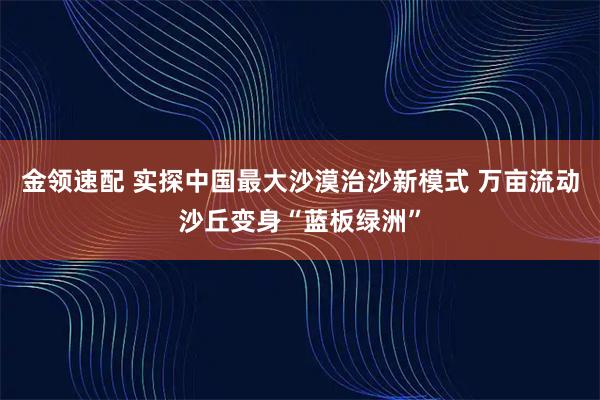 金领速配 实探中国最大沙漠治沙新模式 万亩流动沙丘变身“蓝板绿洲”