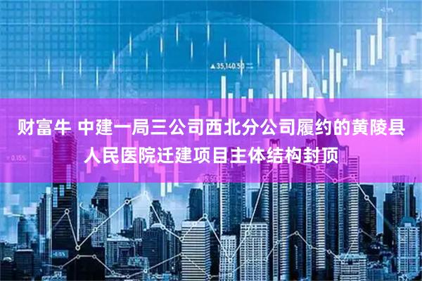 财富牛 中建一局三公司西北分公司履约的黄陵县人民医院迁建项目主体结构封顶